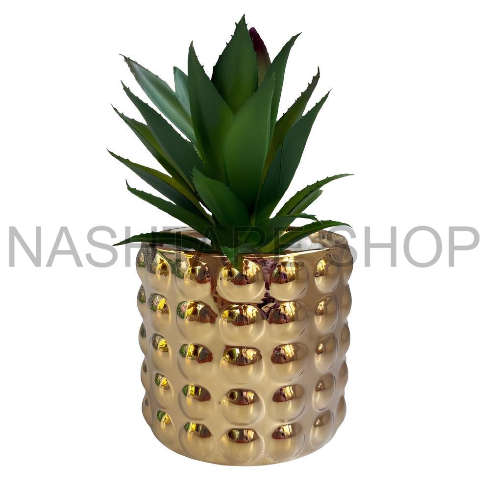 Mini Green Plant | نبات أخضر صغير