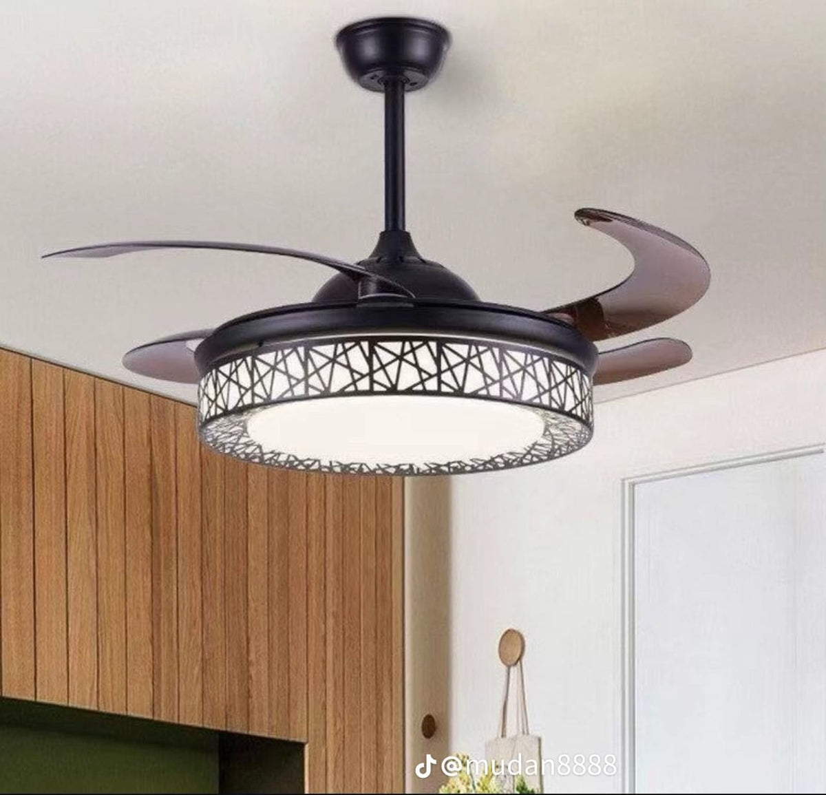 Ceiling Light With Fan