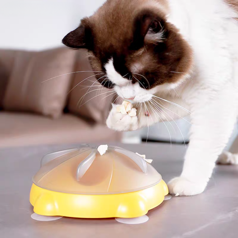 Feeding & Watering