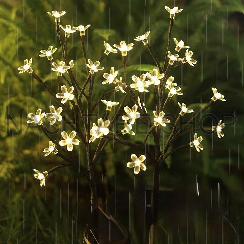 Solar Garden Lights | ضوء حديقة يعمل بالطاقة الشمسية