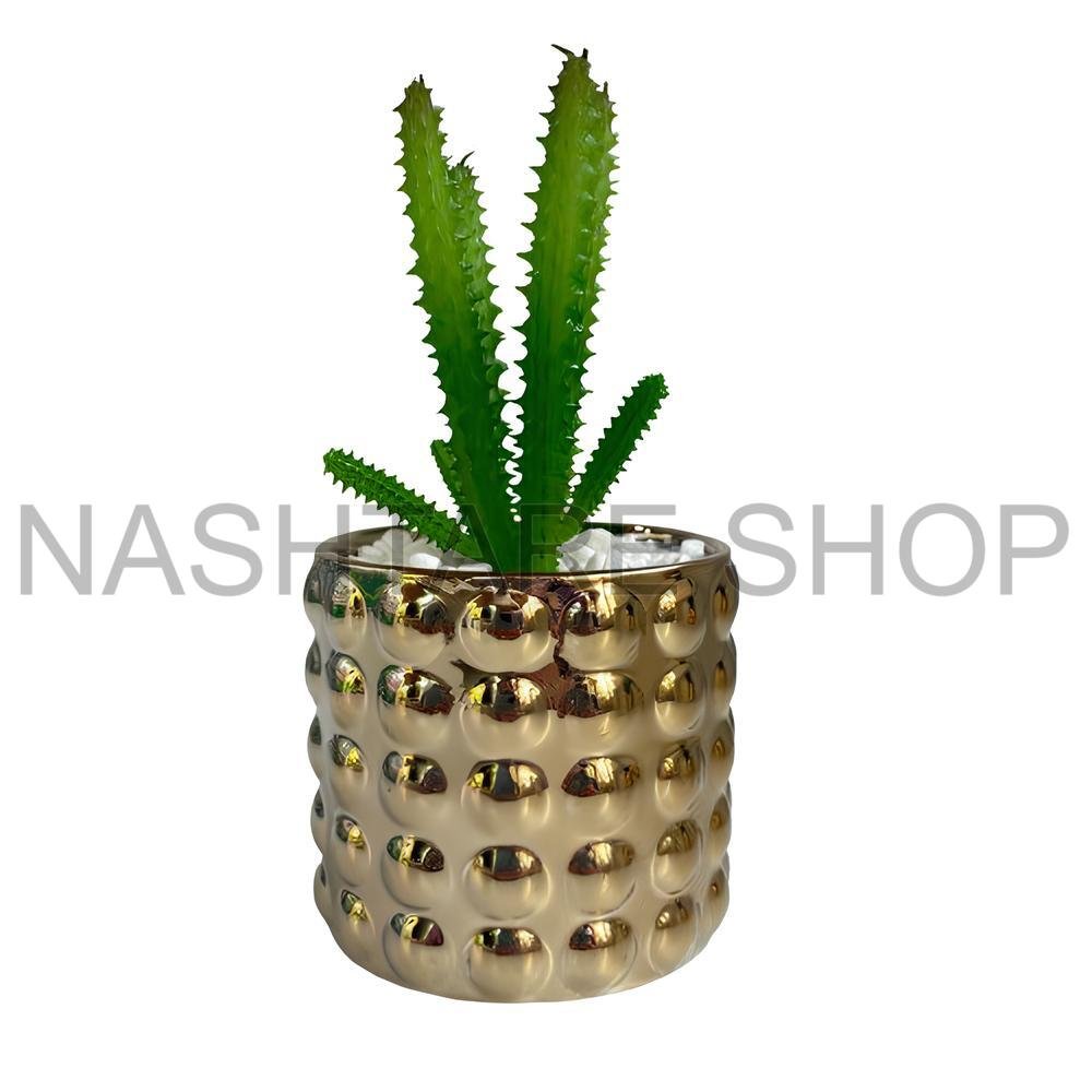 Mini Green Plant | نبات أخضر صغير