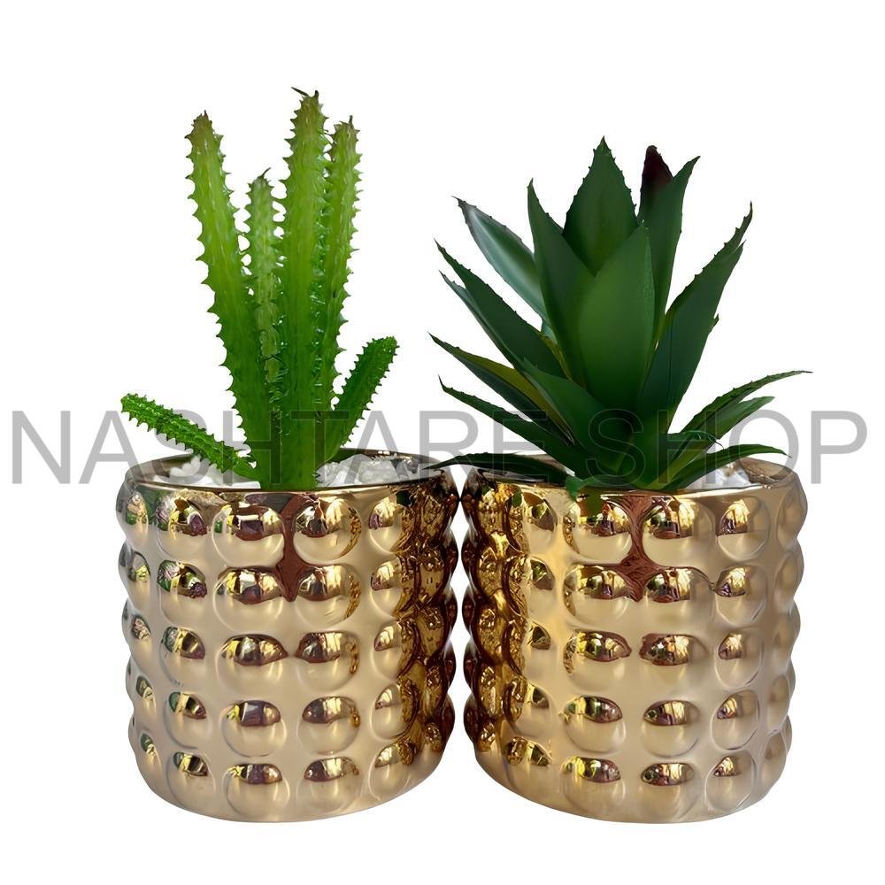 Mini Green Plant | نبات أخضر صغير