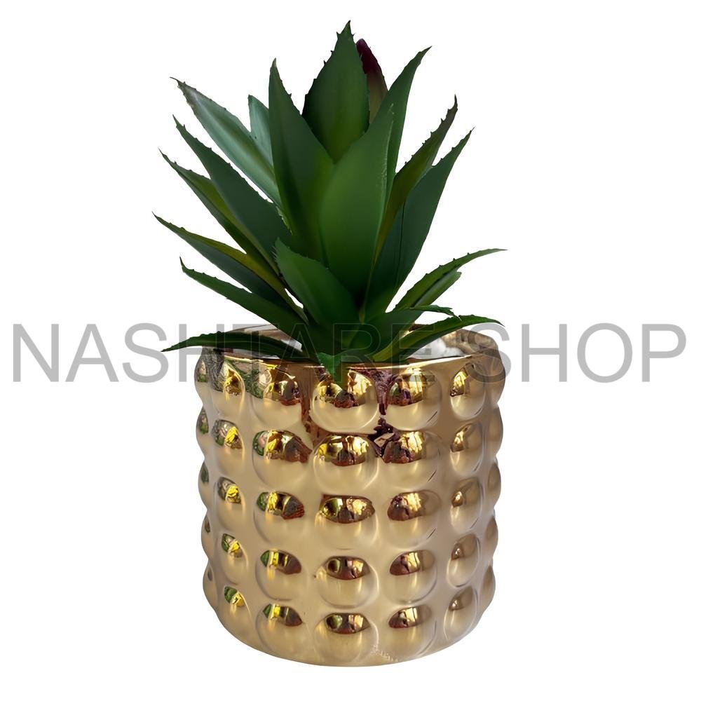 Mini Green Plant | نبات أخضر صغير