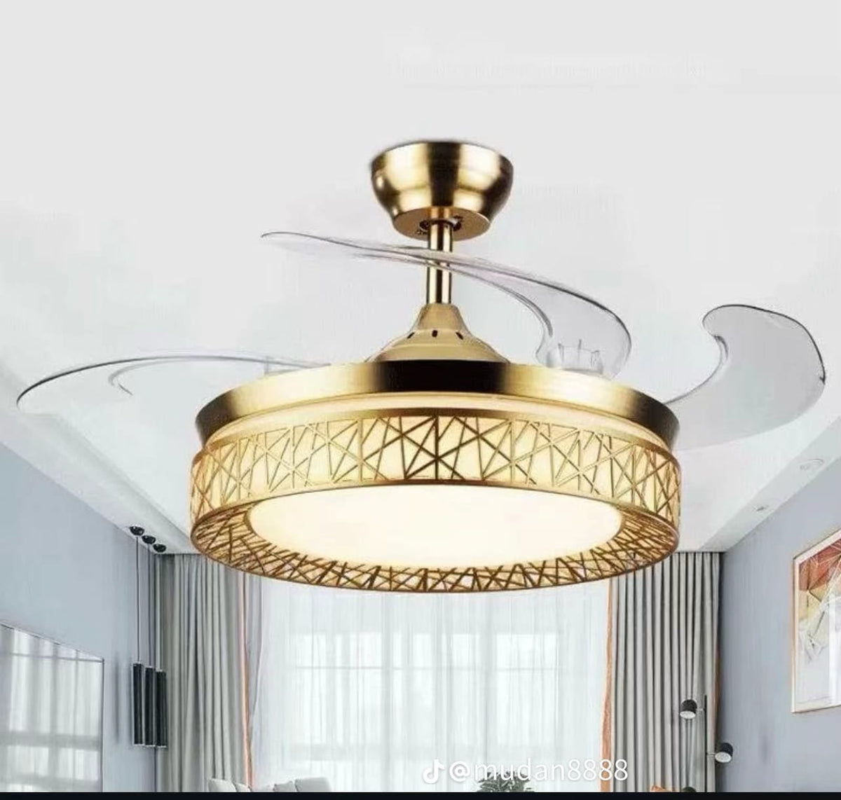 Ceiling Light With Fan