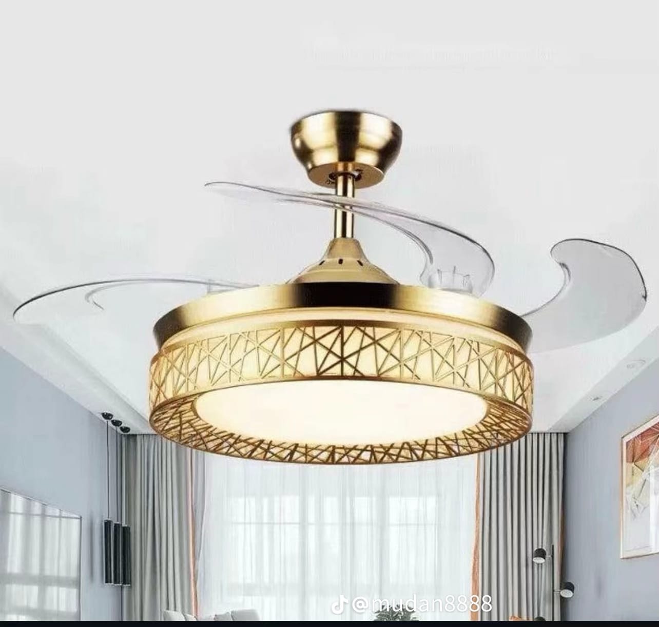 Ceiling Light With Fan